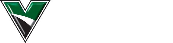Vermeer Viking